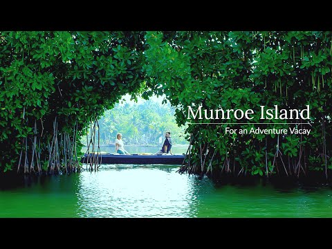 Beautiful view of Munroe Island backwaters